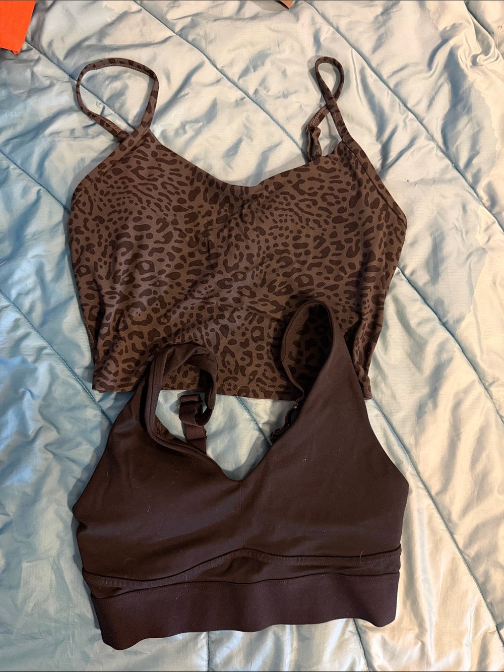 Women’s Brown Leopard & Solid Bralette Duo